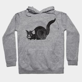 cat Hoodie